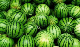 吃瓜爆料新鲜事,吃瓜群众揭秘明星幕后故事