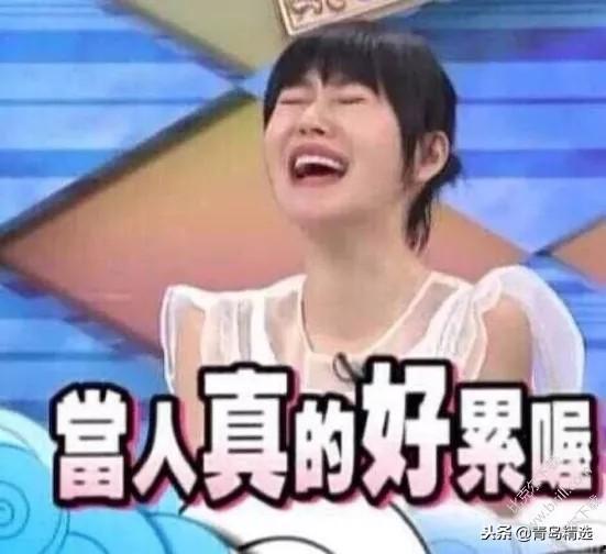 娱乐圈一线吃瓜选手小说